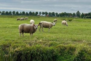 オランダの田園風景：風車、村々、チーズ、そして木靴