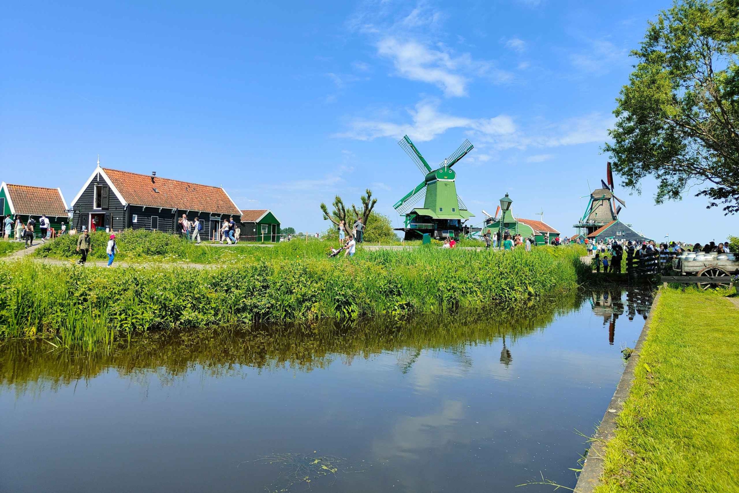 Utflykt från Amsterdam till väderkvarnarna i Zaanse Schans
