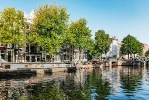 Amsterdam: Tour in bicicletta dei punti salienti della città con crociera opzionale