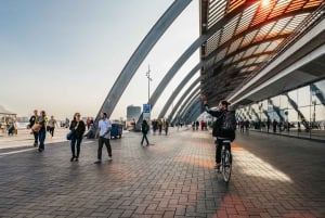 Amsterdã: City Highlights Bike Tour com cruzeiro guiado opcional