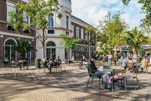 Ámsterdam: Lo más destacado de la ciudad en bicicleta con crucero opcional