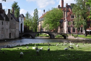 From Amsterdam. 12-Hour Guided Day Trip to Bruges
