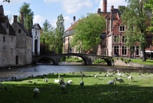 Da Escursione guidata a Bruges in inglese