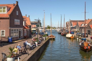 Da Amsterdam: Tour in bicicletta della campagna con degustazione di formaggi