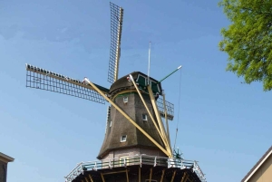 Da Amsterdam: Tour in bicicletta della campagna con degustazione di formaggi