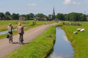 Da Amsterdam: Tour in bicicletta della campagna con degustazione di formaggi