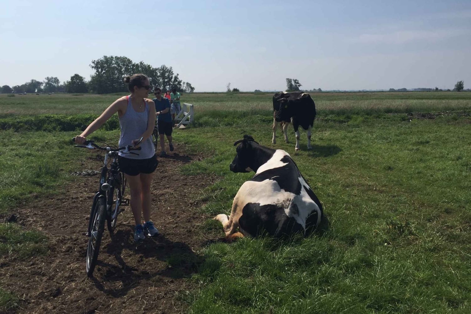 Fra Amsterdam: Countryside Bike Tour