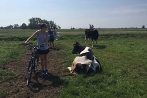 Fra Amsterdam: Countryside Bike Tour