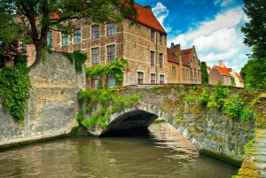 Desde Amsterdam: Excursión de un día a Brujas en español o inglés