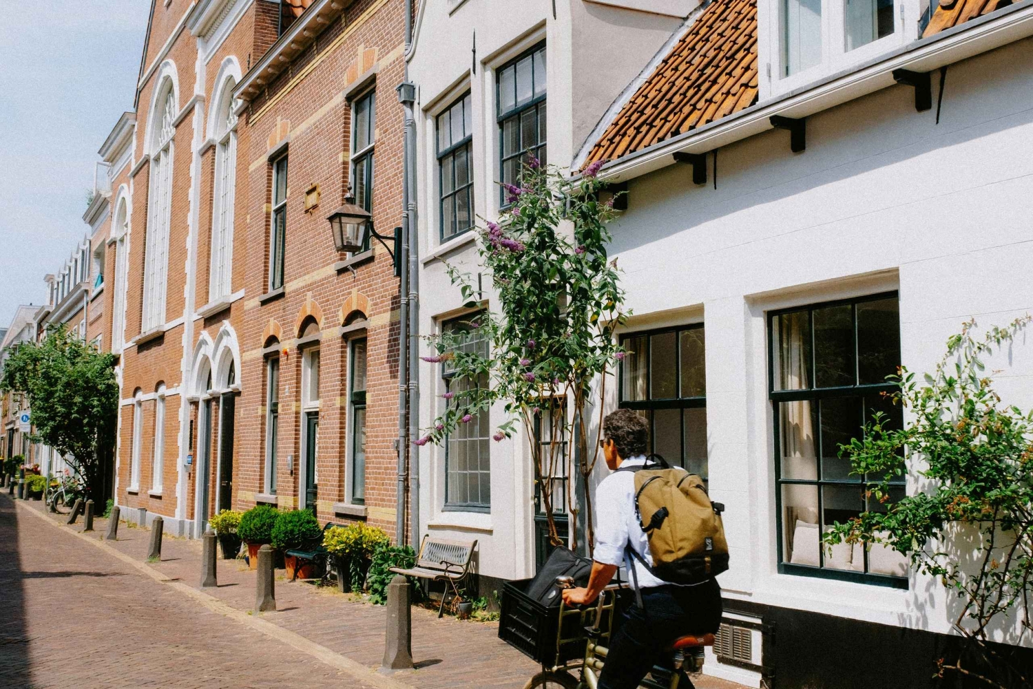 Von Amsterdam aus: Tagestour nach Haarlem