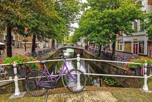 De Amsterdã: excursão privada a Delft e Haia