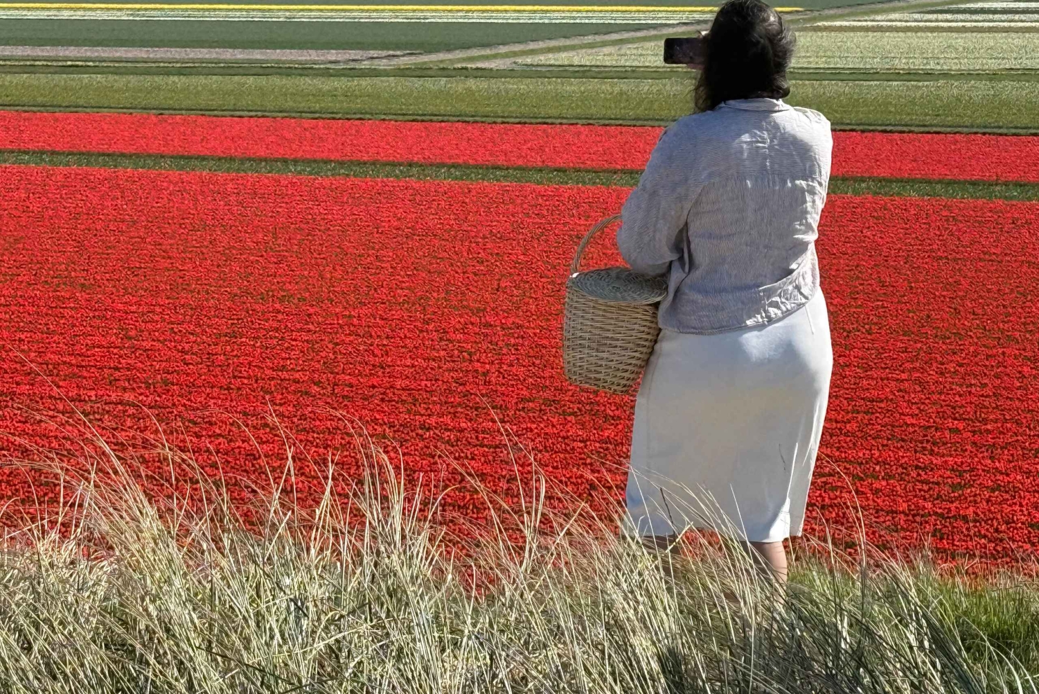 From Amsterdam: Dunes, Submarine & Windmills Guided Day Tour