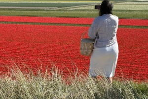 From Amsterdam: Dunes, Submarine & Windmills Guided Day Tour