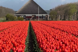 From Amsterdam: Dunes, Submarine & Windmills Guided Day Tour
