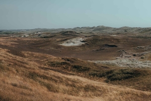 From Amsterdam: Dunes, Submarine & Windmills Guided Day Tour