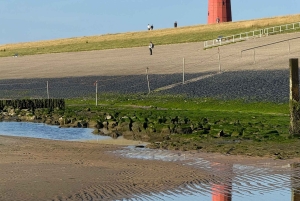 From Amsterdam: Dunes, Submarine & Windmills Guided Day Tour