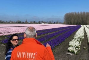 From Amsterdam: Early Flower Day Tour with Lunch & Windmill