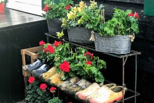 From Amsterdam: Edam & Volendam Walking Tour