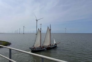 Desde Ámsterdam: excursión de un día a Giethoorn con recorrido por los canales y el pueblo