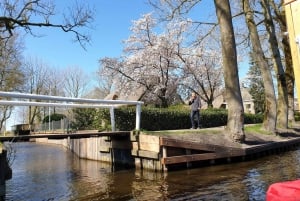 Desde Ámsterdam: Excursión de un día a Giethoorn en pequeño barco eléctrico
