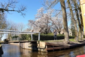From Amsterdam: Giethoorn Day Trip with Small Electric Boat