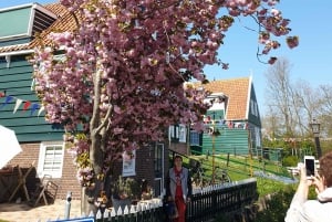 From Amsterdam: Giethoorn Day Trip with Small Electric Boat