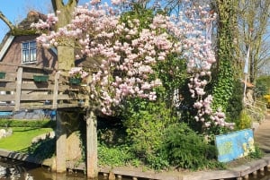 From Amsterdam: Giethoorn Day Trip with Small Electric Boat
