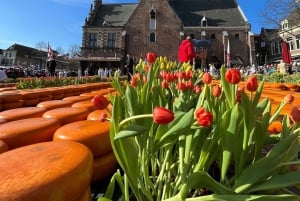 Amsterdam: World-Famous Cheese Market Tour Gouda or Alkmaar