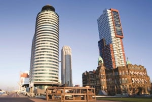 Rotterdam, Delft e L'Aia: tour guidato da Amsterdam