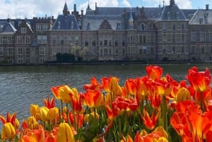 Fra Amsterdam: Guidet tur til Rotterdam, Delft og Haag