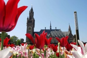 From Amsterdam: Guided Trip to Rotterdam, Delft & The Hague