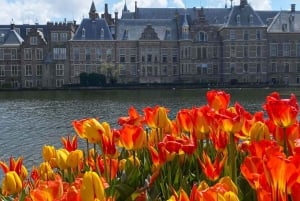 From Amsterdam: Guided Trip to Rotterdam, Delft & The Hague