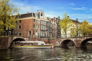 From Amsterdam: Guided Trip to Rotterdam, Delft & The Hague