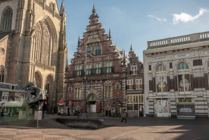From Amsterdam: Haarlem City Tour & Canal Cruise