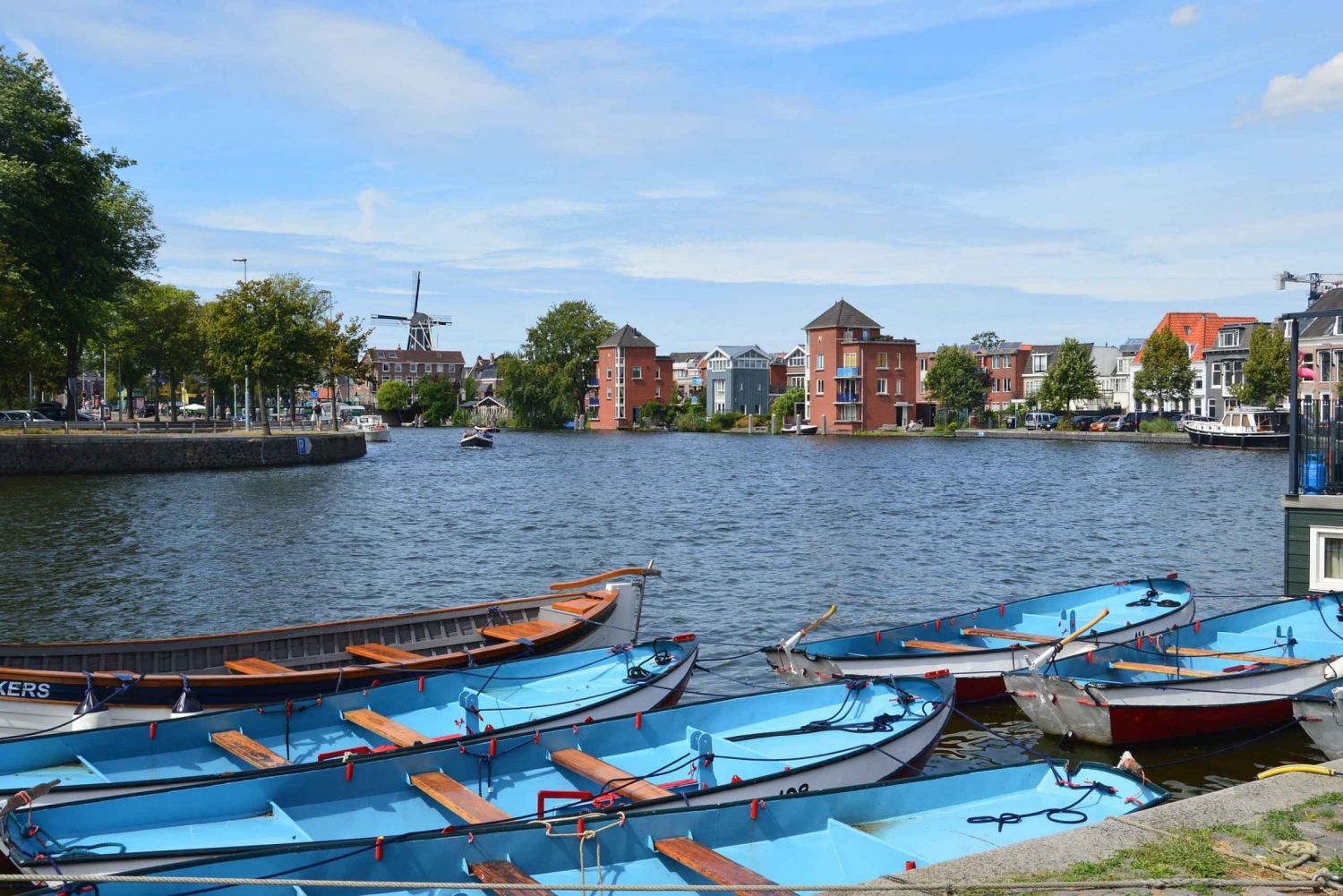 From Amsterdam: Haarlem Private Day-Trip