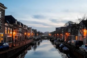 Amsterdam to Haarlem: Private Day-Trip Experience