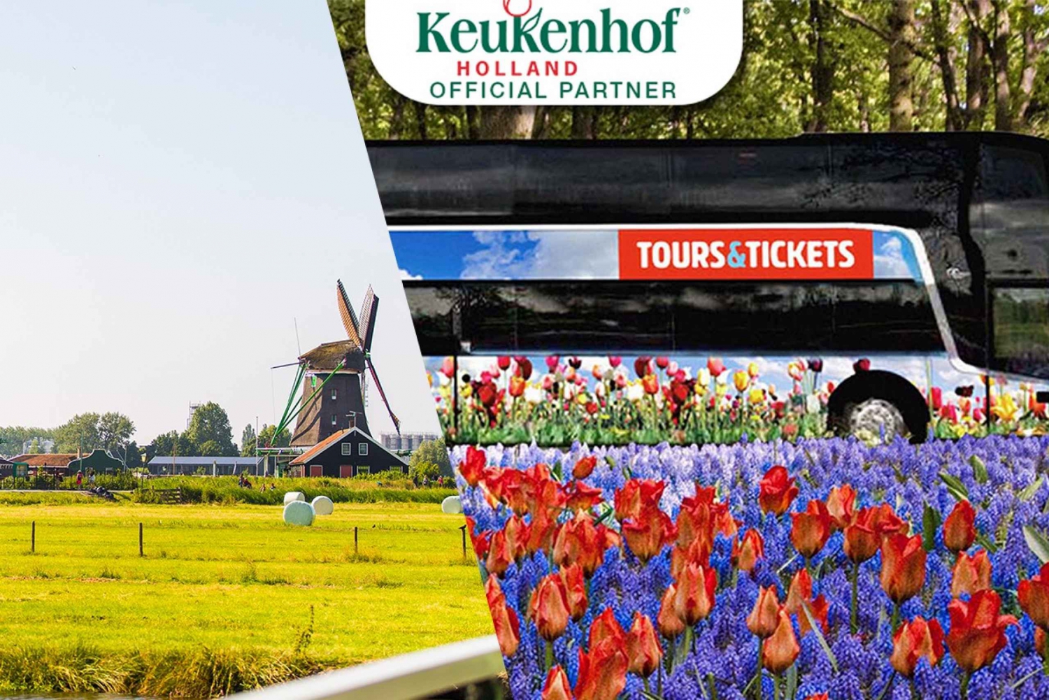 Desde Ámsterdam: tour a Keukenhof y el campo holandés