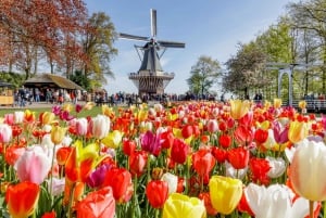 Fra Amsterdam: Tur på landet og til Keukenhof