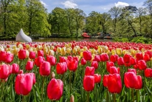 Fra Amsterdam: Tur på landet og til Keukenhof