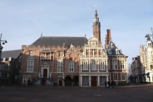 From Amsterdam: Keukenhof and Haarlem Full-Day Guided Tour