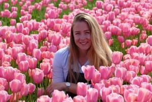 Amsterdam: Bus Transfer to Keukenhof & Tulip Fields