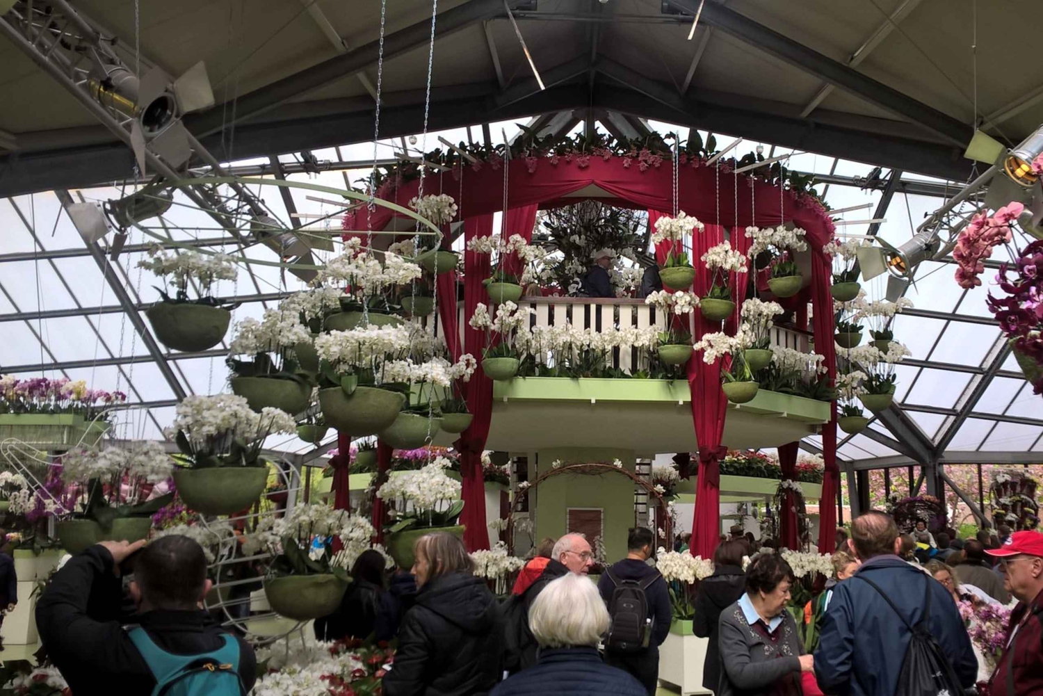 Da Amsterdam: tour per piccoli gruppi a Keukenhof e Zaanse Schans