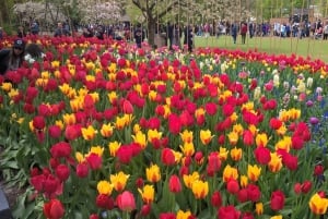 From Amsterdam: Keukenhof and Zaanse Schans Small Group Tour