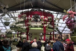 Desde Ámsterdam: Keukenhof y Zaanse Schans tour en grupo reducido