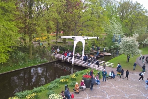 Desde Ámsterdam: Keukenhof y Zaanse Schans tour en grupo reducido