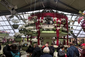 Da Amsterdam: tour per piccoli gruppi a Keukenhof e Zaanse Schans