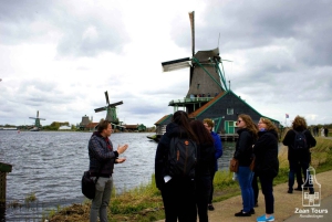 Da Amsterdam: tour per piccoli gruppi a Keukenhof e Zaanse Schans