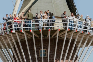 Fra Amsterdam: Keukenhof-inngang med skyttelbuss