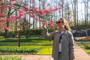 Fra Amsterdam: Keukenhof-inngang med skyttelbuss