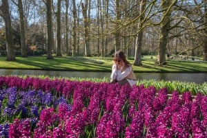 Fra Amsterdam: Keukenhof-inngang med skyttelbuss